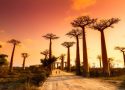 voyage sejour madagascar