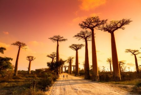 voyage sejour madagascar